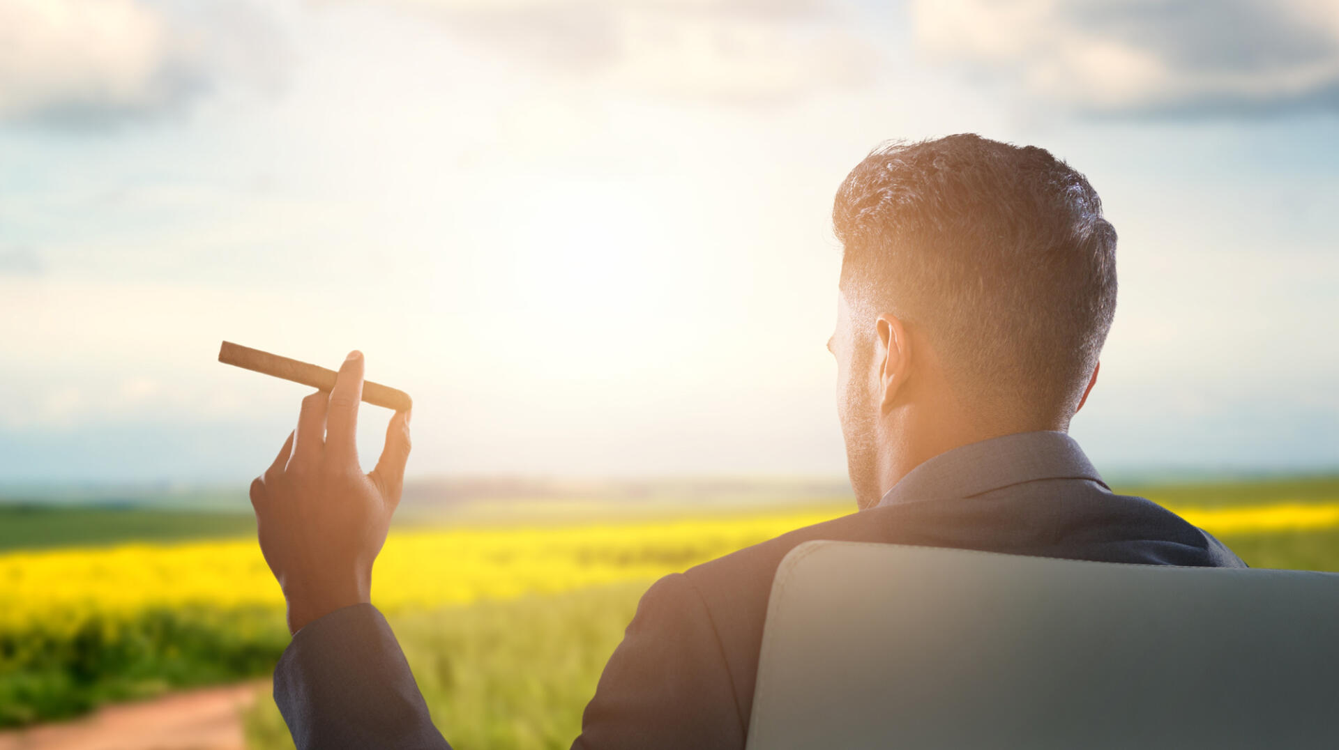 Smoking cigar overlooking tobacco field